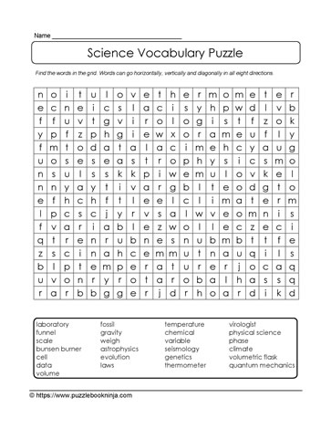 Vocabulary Wordsearch Puzzle